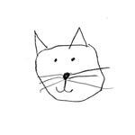 stackofcatz profile picture