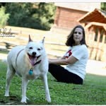 stacyaw71 profile picture