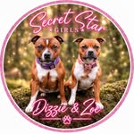 staffy.dizzie.zoe profile picture
