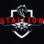 stallionfitnessofficial profile picture