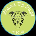 standuppups profile picture