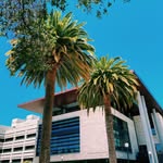 stanford.med profile picture