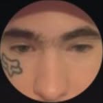 starfoxlaflare profile picture