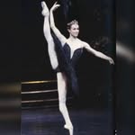 starsof.ballet profile picture