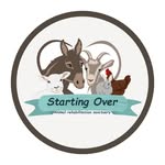 startingoversanctuary profile picture