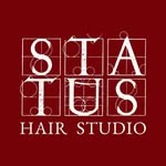 status.hair.miami profile picture