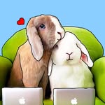 stayathomebun profile picture