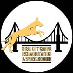 steelcityk9rehab profile picture