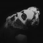stefanaarnio profile picture