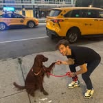 stefthedogwhisperer profile picture