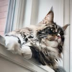 stella.flay profile picture