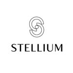 stelliumshopmx profile picture
