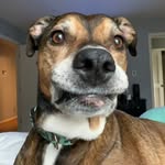 stepheezie profile picture