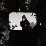 stephenevansphoto profile picture