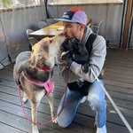stephenlong profile picture