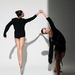 stephenpetroniocompany profile picture