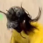 stephverschuren profile picture