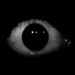 sterblitch profile picture