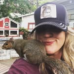 stevethegraysquirrel profile picture