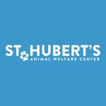 sthubertsanimal profile picture