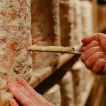 sticheltondairy profile picture