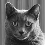 stinkanyc profile picture