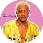 stivdanny profile picture