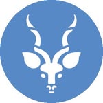 stlzoo profile picture