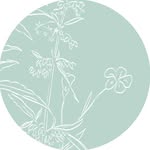 stolalondon profile picture