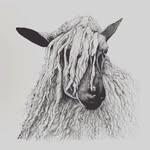 stonebeck_down_wensleydales profile picture