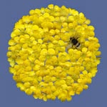 stopforthstudio profile picture