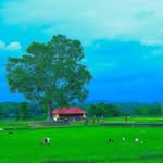 stories_of_vazhali profile picture