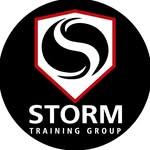 stormtraininggroup profile picture
