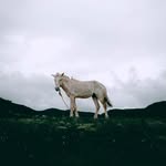 storyy1on profile picture