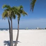 stpetebeach profile picture