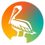 stpetefl profile picture