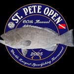 stpeteopen profile picture