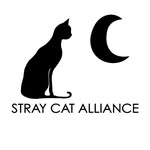 straycatalliance profile picture