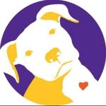 streetdogfoundation profile picture