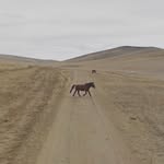 streetview.portraits profile picture