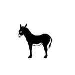 strombolieditions profile picture