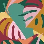 studio.sheba profile picture