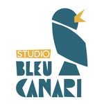 studio_bleu_canari profile picture