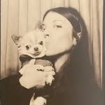 studiochloedavid profile picture