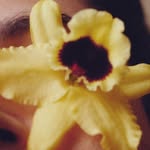 studio_____galla profile picture