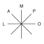 studiolampo profile picture