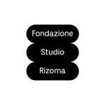 studio_rizoma_ profile picture