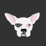 studynotesaba_app profile picture