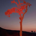 styledbytrevonn profile picture