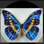 style_kingg_ profile picture